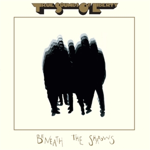 Beneath the Shadows by T.S.O.L.