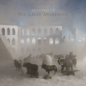 Great Awakening by Shearwater