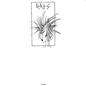 C'est Disco by R.A.T.S.