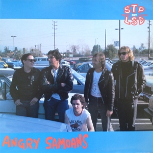 Stp Not Lsd by Angry Samoans