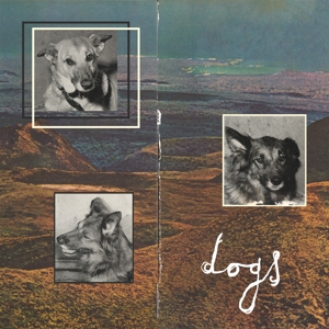 Dogs by Steve French