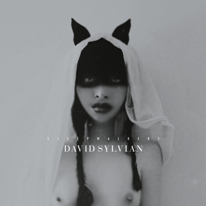 Sleepwalkers by David Sylvian