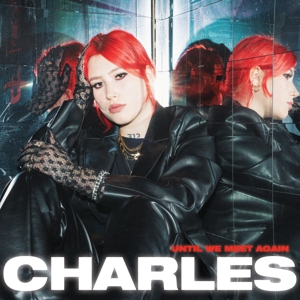 Until We Meet Again by Charles