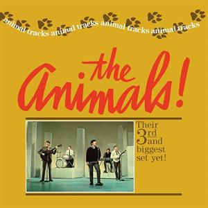 Animal Tracks by Animals