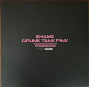 Drunk Tank Pink by Shame