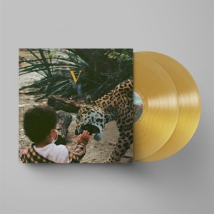 V by Unknown Mortal Orchestra