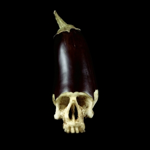 Whole Food by Dean, Gensu