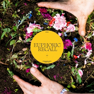 Euphoric Recall by Braids