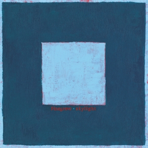 Skylight by Pinegrove