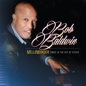 Mellowonder- Songs In the Key of Stevie by Baldwin, Bob