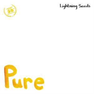 Pure/All I Want by Lightning Seeds
