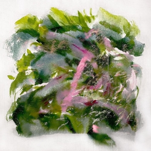 Forest Scenes by Mizu