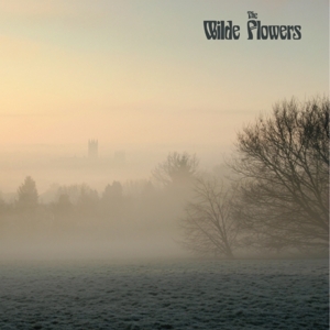Wilde Flowers by Wilde Flowers