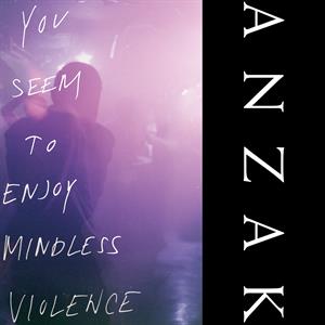 You Seem To Enjoy Mindless Violence