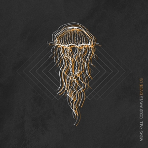Cold Waves Divide Us by Midas Fall
