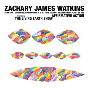 Affirmative Action by James Watkins, Zachary