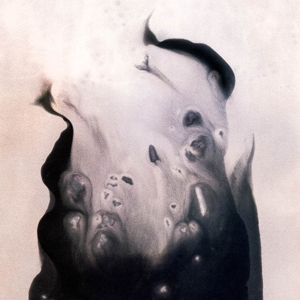 Salt by Hansen, Marla