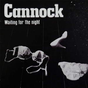 Waiting For the Night