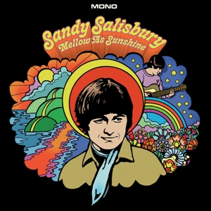 Mellow As Sunshine by Salisbury, Sandy