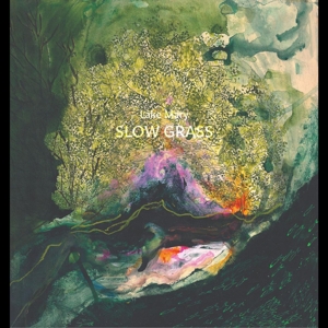 Slow Grass by Lake Mary