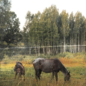 Old Pride by Pianos Become the Teeth
