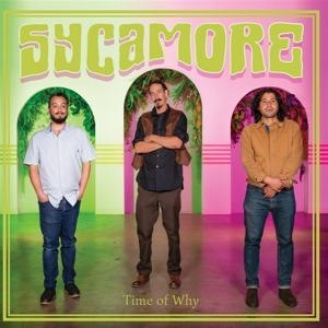 Time of Why by Sycamore