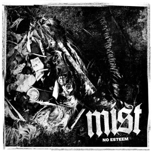 No Esteem by Mist