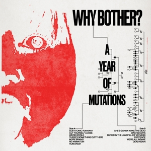 A Year of Mutations by Why Bother?