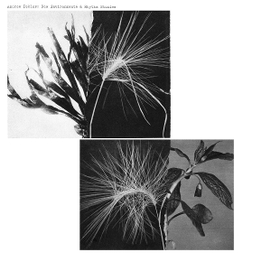 New Environments & Rhythm Studies by Pekler, Andrew