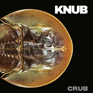 Crub