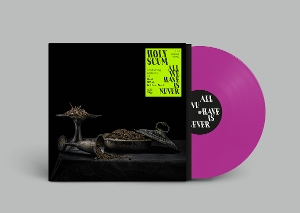 All We Have is Never by Holy Scum