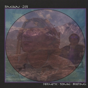 Hermetic Tonal Briefing by Simian Life