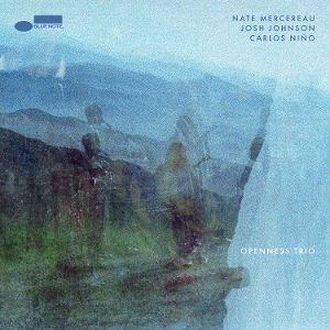 Openness Trio by Mercereau, Nate & Josh...