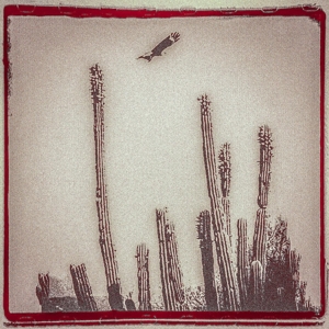 La Cruzada by Escovedo, Alejandro