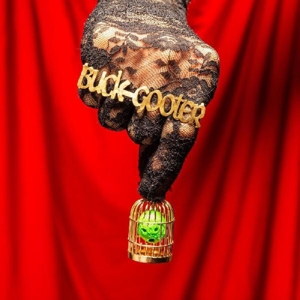 Head In a Bird Cage by Buck Gooter
