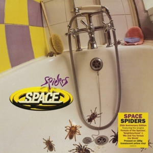 Spiders by Space