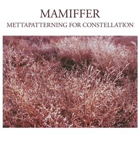 Mettapatterning For Constellation by Mamiffer