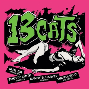 13 Tracks by 13 Cats