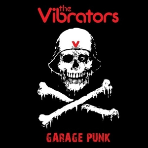 Garage Punk by Vibrators, the