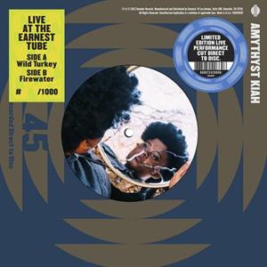 Live At the Earnest Tube by Amythyst Kiah