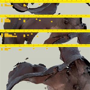 Body Logic by Awe Kid