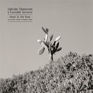 Down To the Bone (an Acoustic Tribute To Depeche M by Chauveau, Sylvain -&Am...