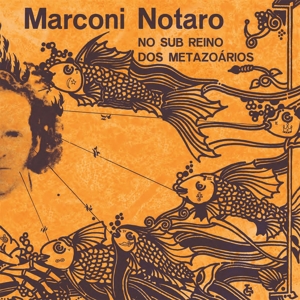 No Sub Reino Dos Metazoarios by Notaro, Marconi