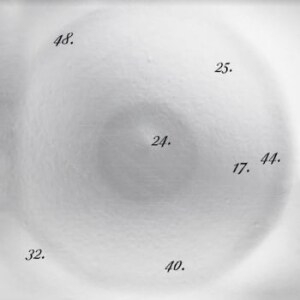 Discipline Through Sound 25
