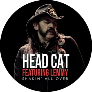 Shakin All Over by Head Cat