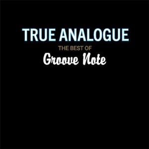 True Analogue