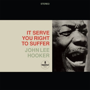 It Serve You Right by John Lee Hooker