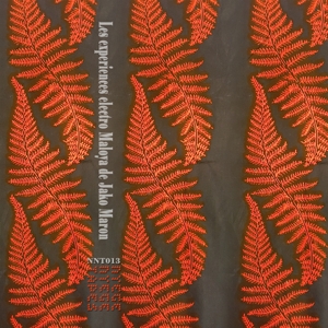 The Electro Maloya Experiments of... by Maron, Jako