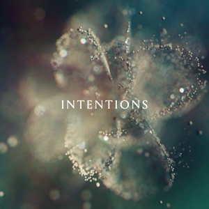 Intentions by Anna