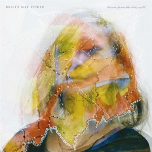 Dream From the Deep Well by Power, Brigid Mae
